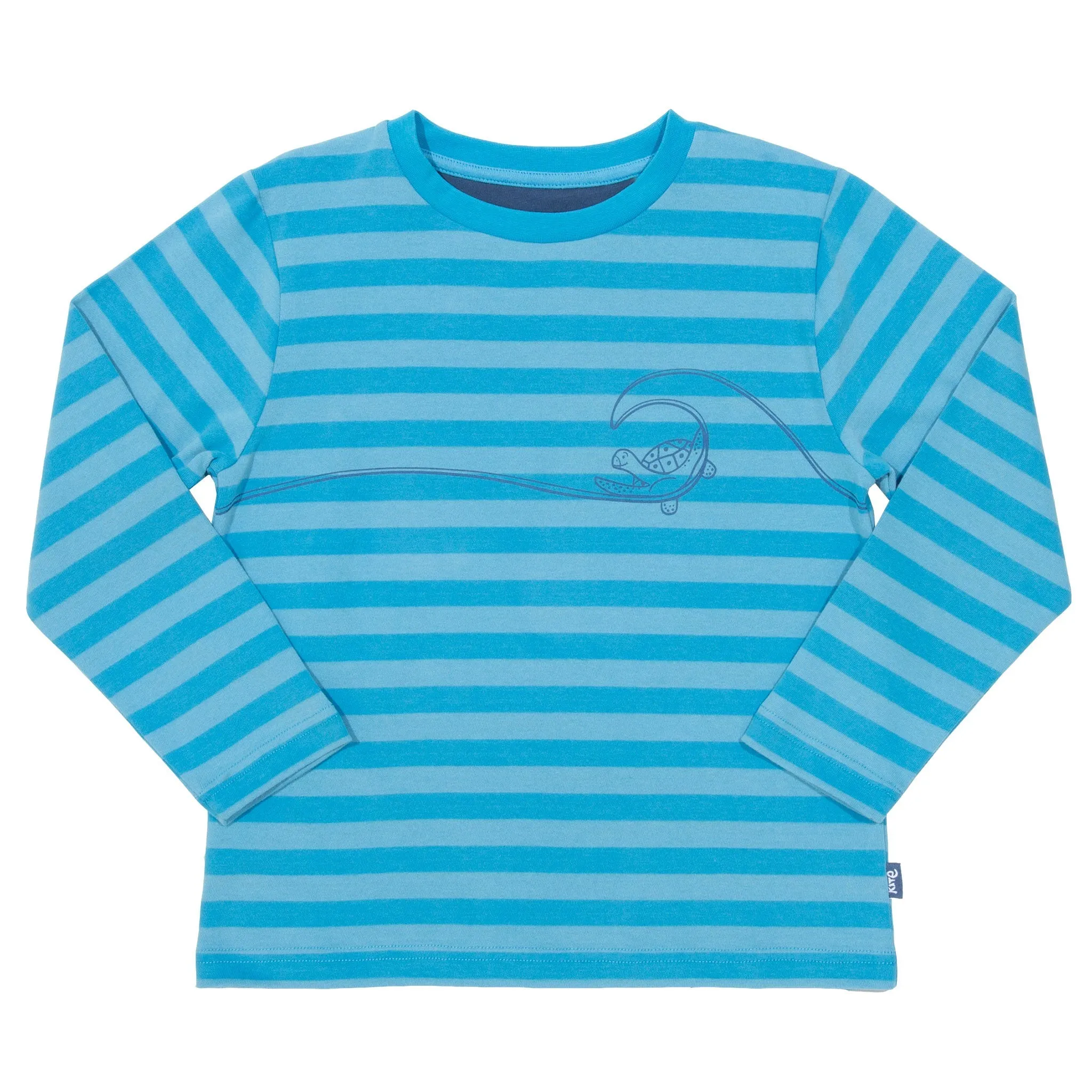Turtle time top