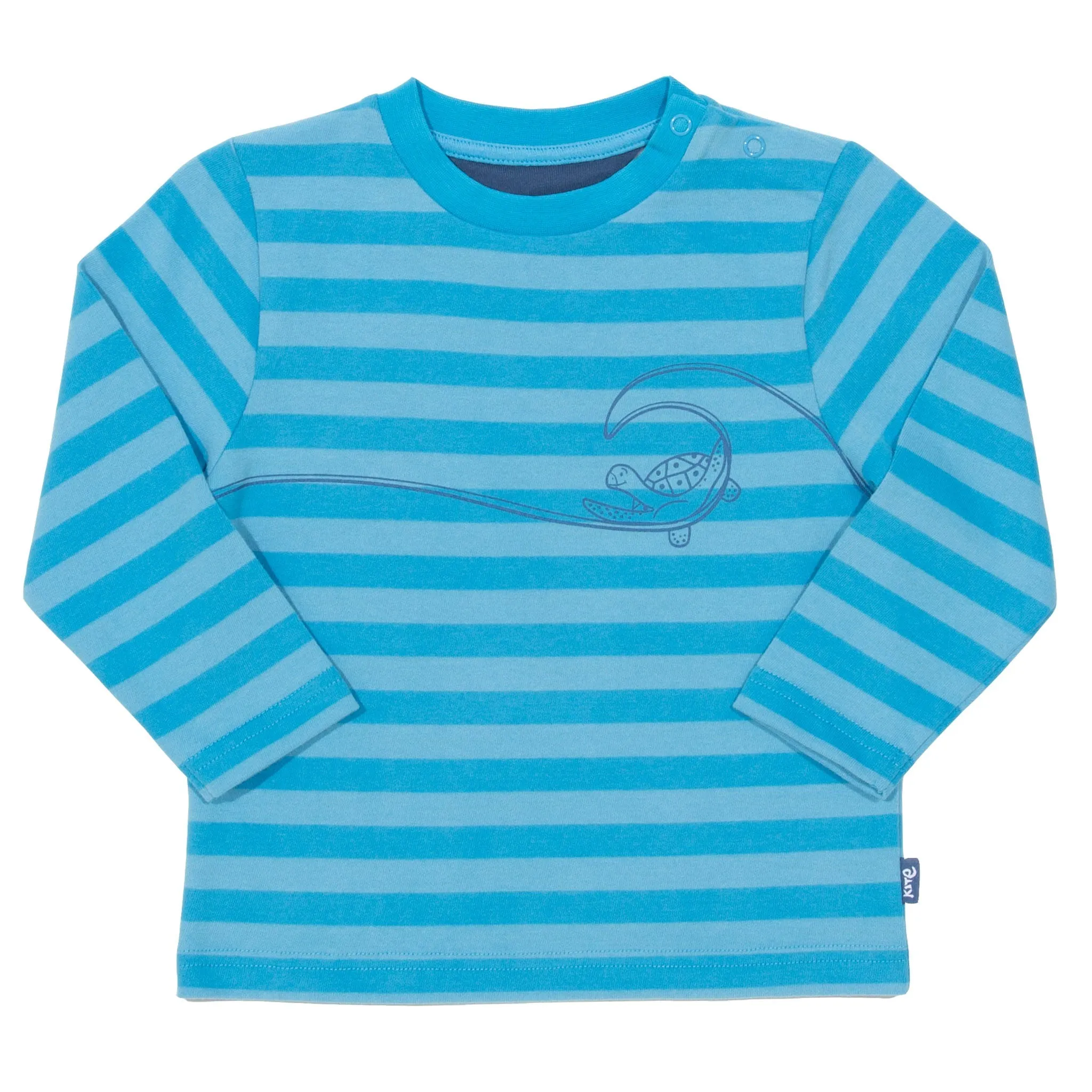Turtle time top