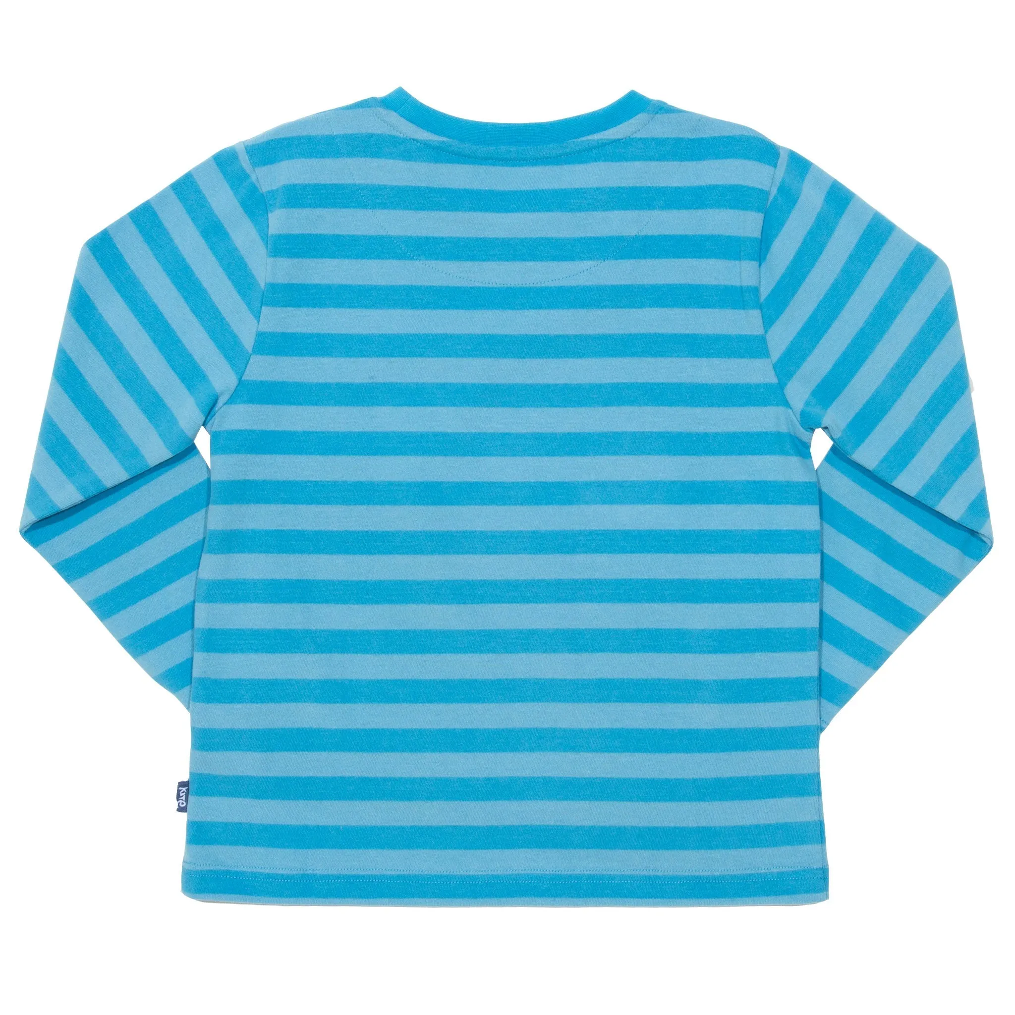 Turtle time top